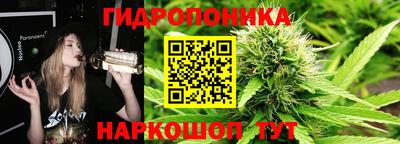 скорость Славгород