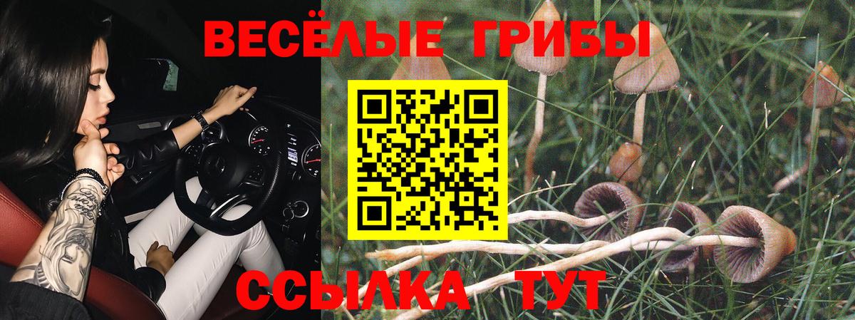 Серпухов  Псилоцибиновые грибы мухоморы  Вход с VPN 
